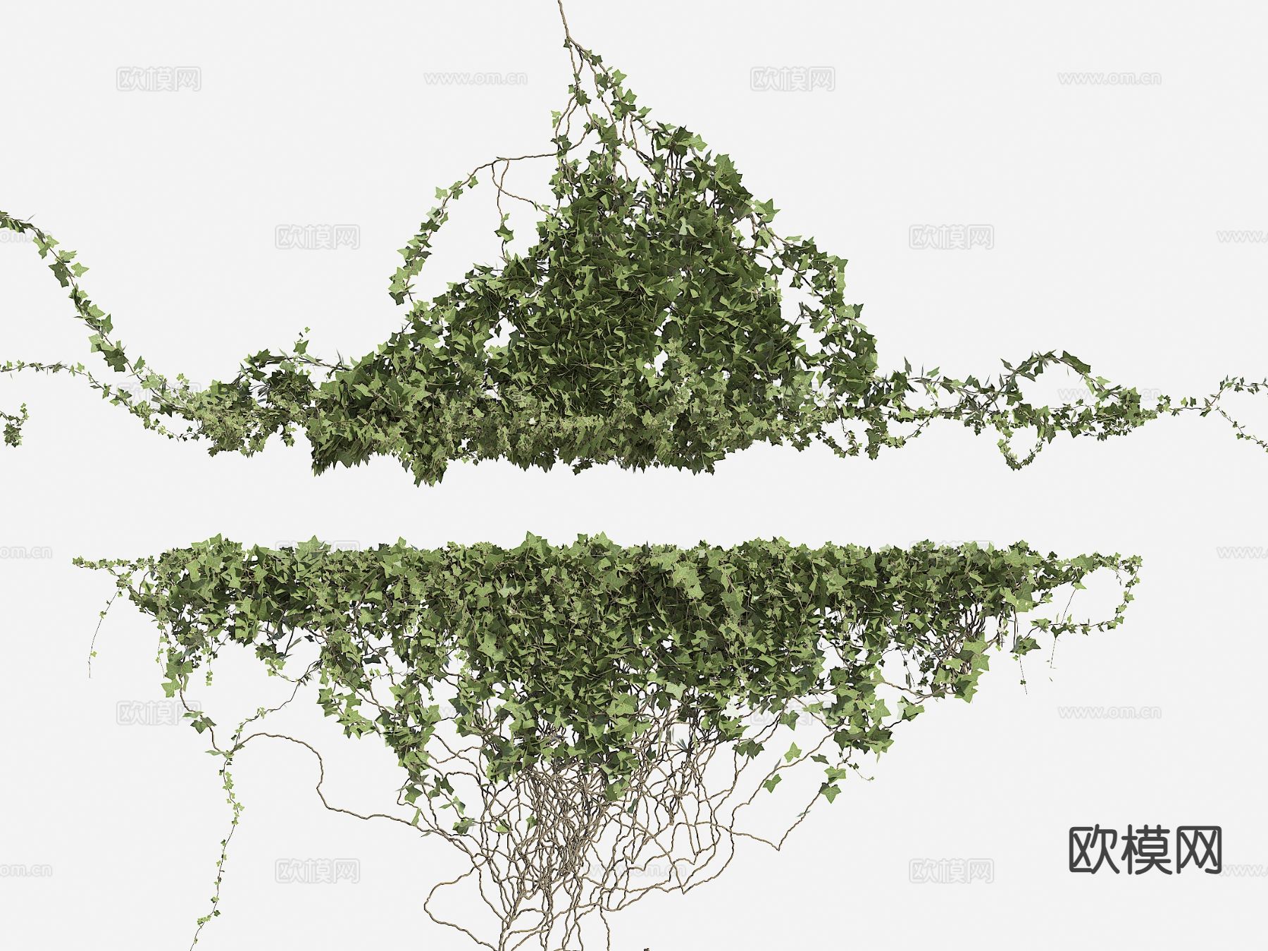 爬藤 爬山虎 常春藤 垂挂植物3d模型