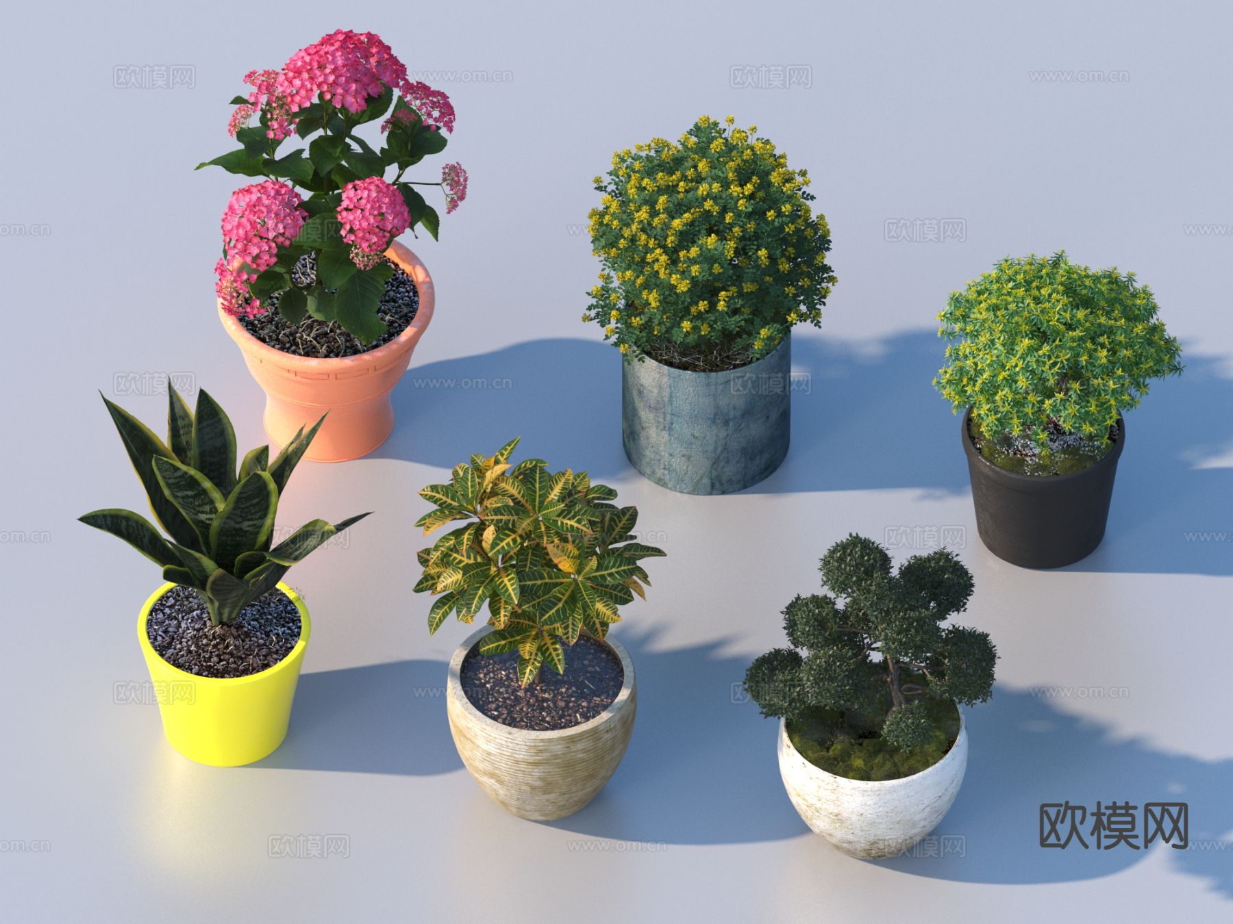 花盆 盆栽 绿植 植物3d模型