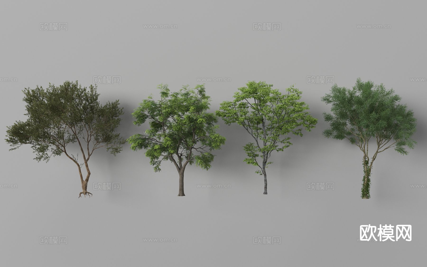 景观乔木 树木 植物树3d模型