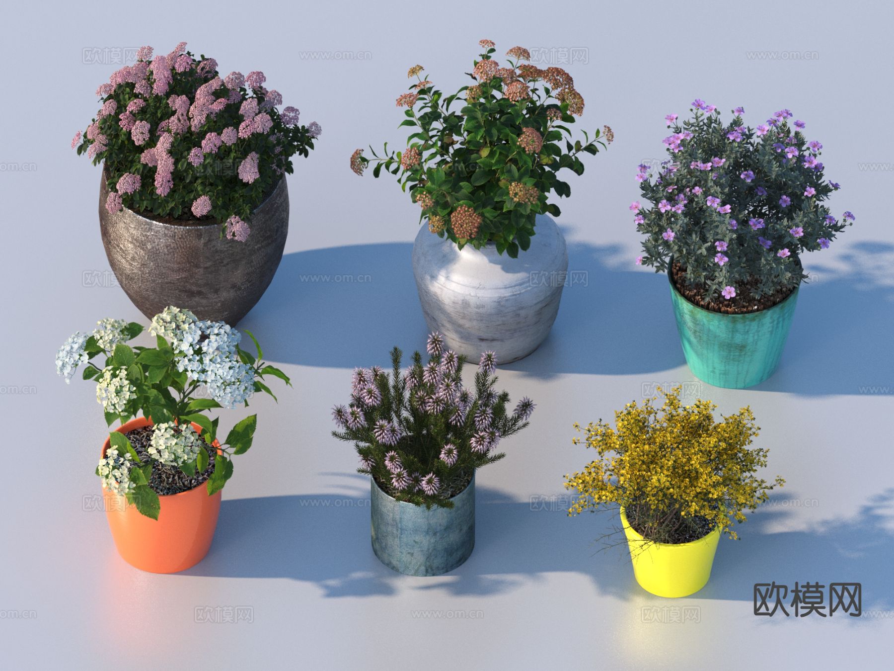 花盆 盆栽 绿植 植物3d模型