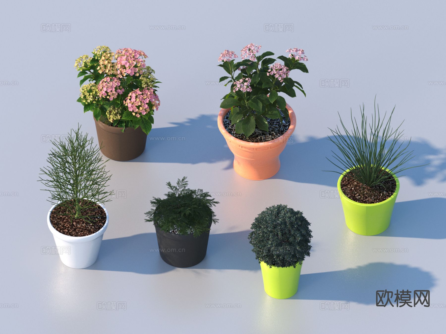 花盆 盆栽 绿植 植物3d模型