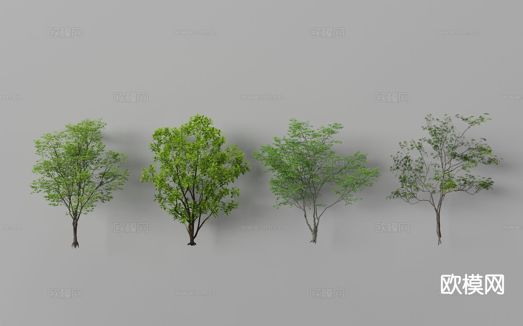 景观乔木 树木 植物树 景观树3d模型