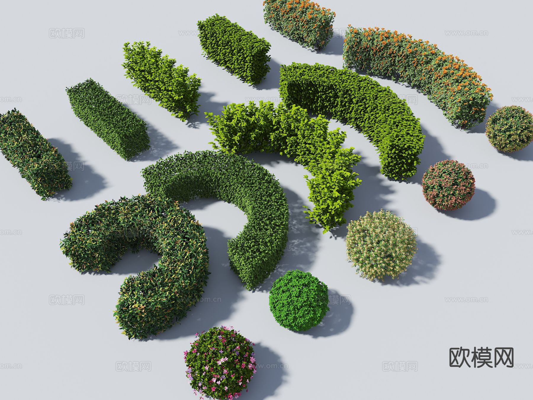 灌木丛 球形植被 球形植物 绿篱 绿化带3d模型