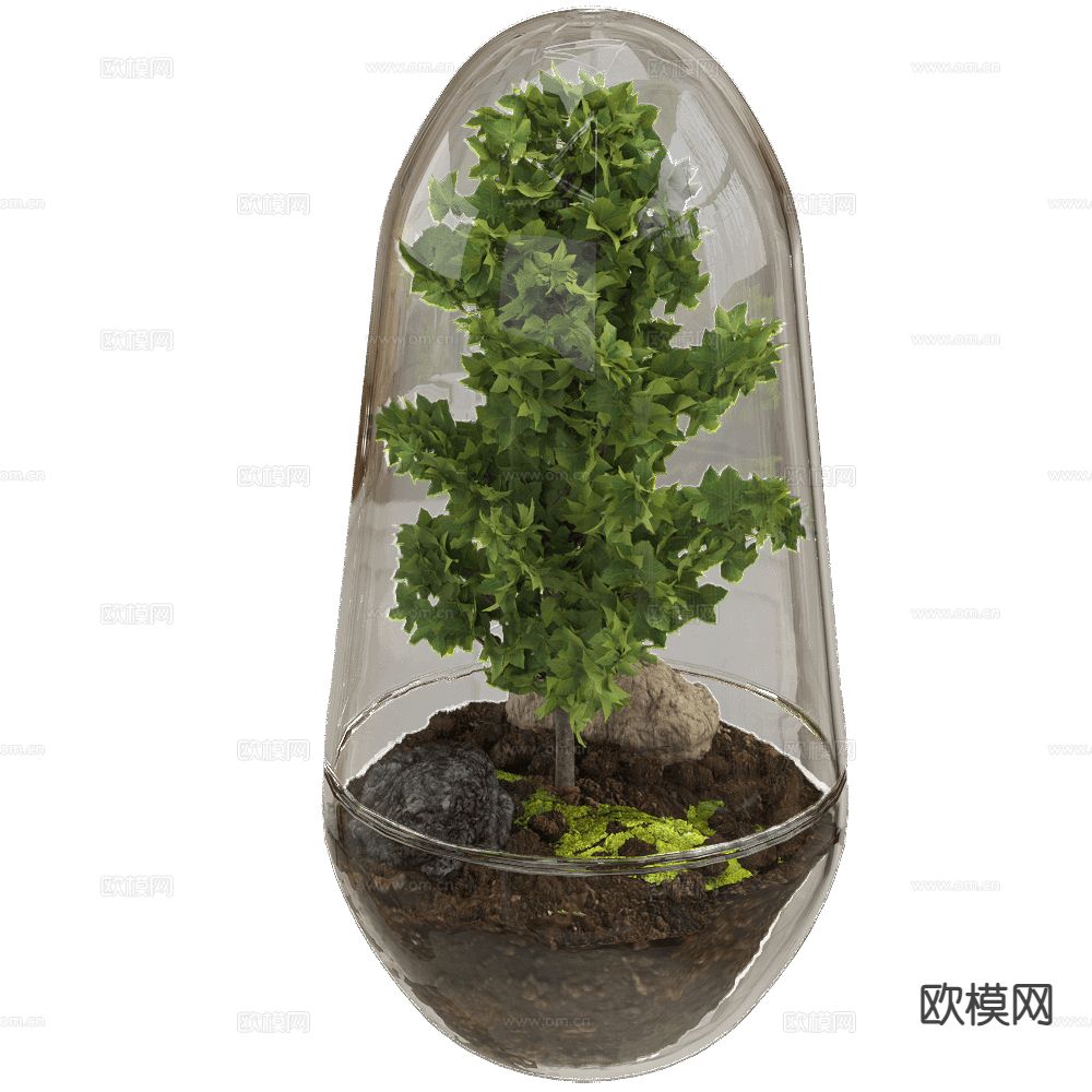 玻璃微观植物 盆栽竹子3d模型