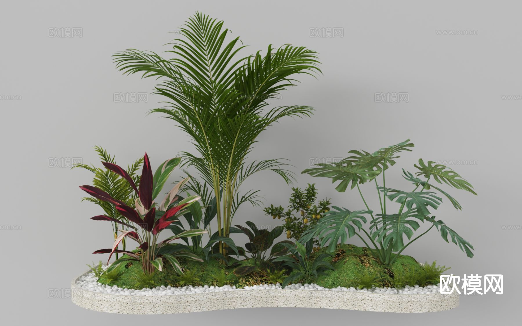 植物造景 蕨类植物 植物堆 微地形 热带植物3d模型