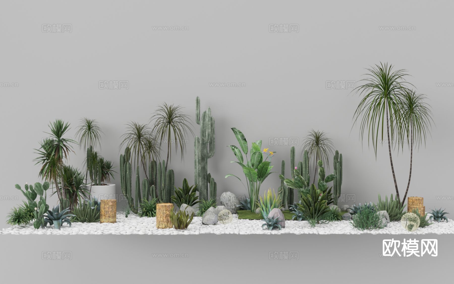 植物造景 蕨类植物 植物堆 微地形 热带植物3d模型