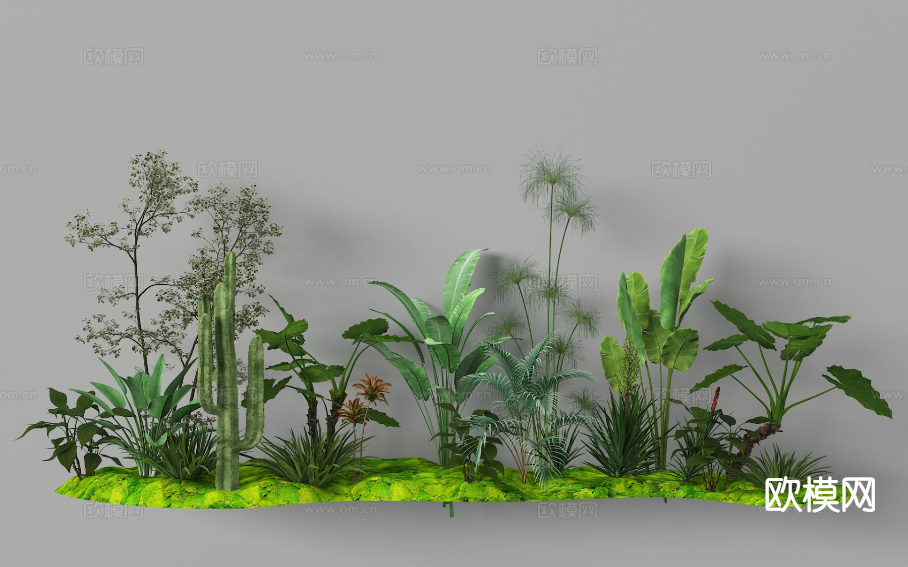 植物造景 蕨类植物 植物堆 微地形 热带植物3d模型