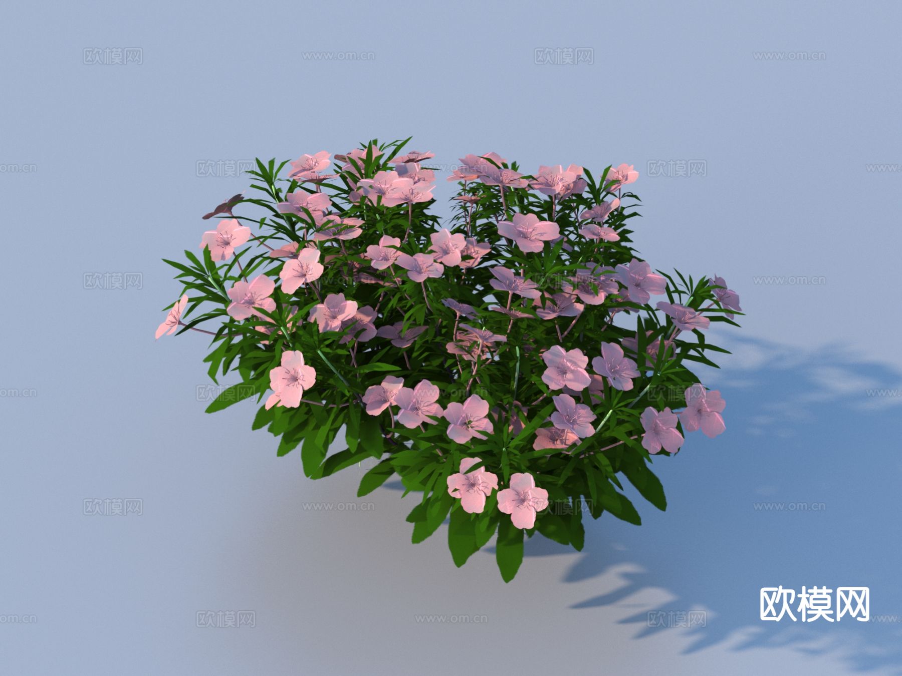 花 卡通花 植物花草3d模型