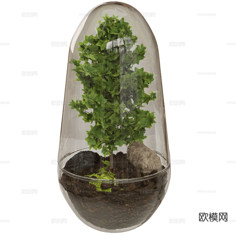 玻璃微观植物 盆栽竹子3d模型