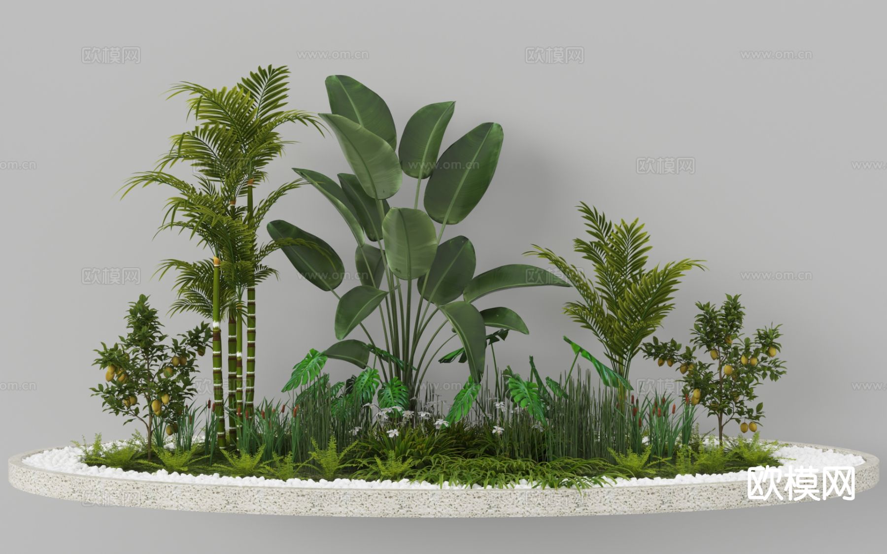 植物造景 蕨类植物 植物堆 微地形 热带植物3d模型