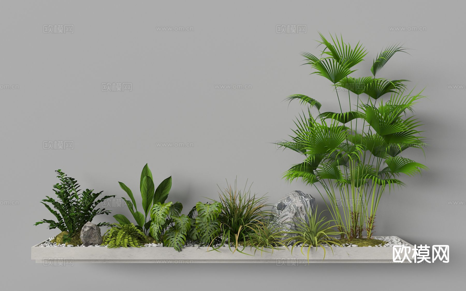 植物造景 蕨类植物 植物堆 微地形 热带植物3d模型