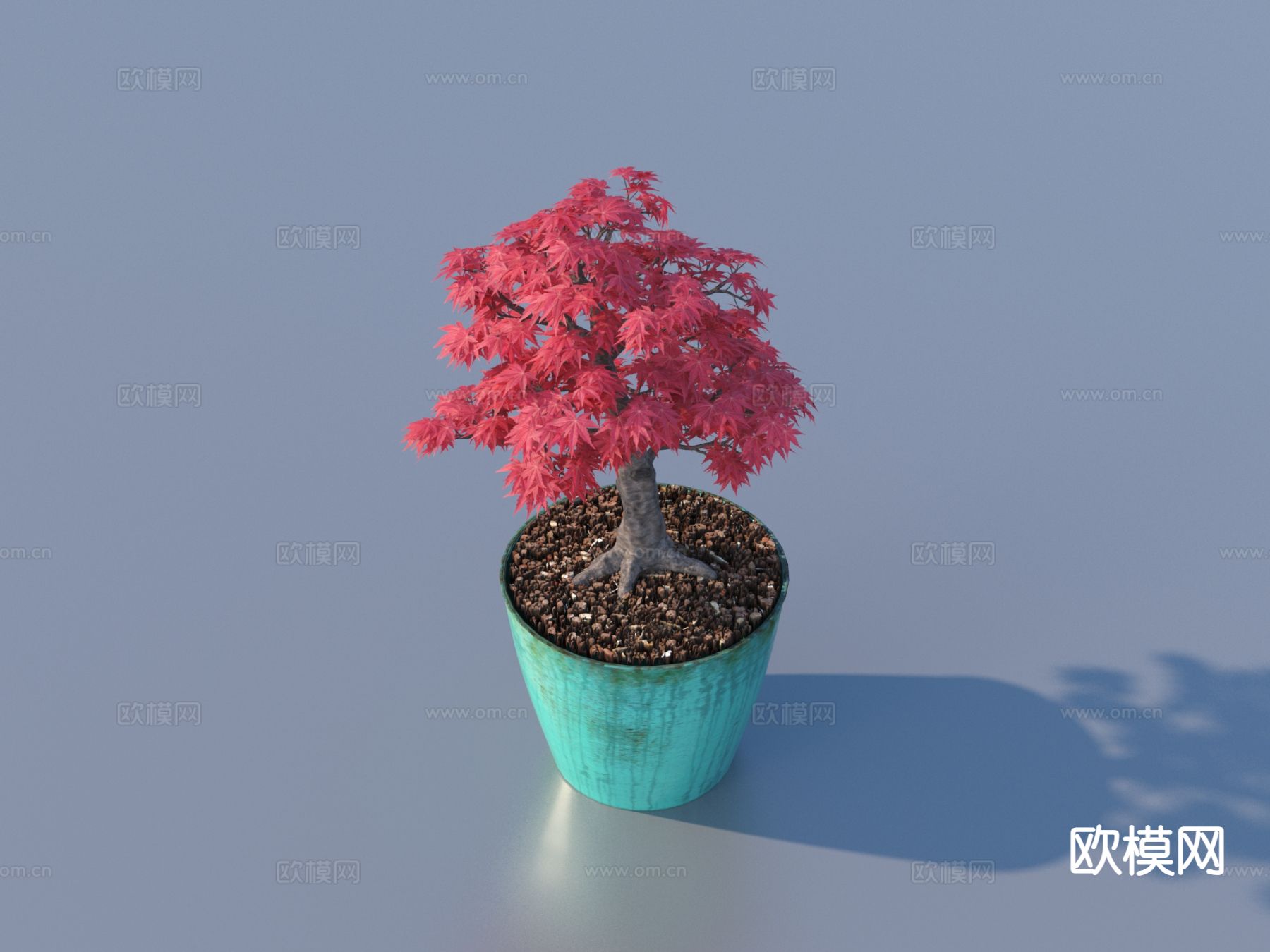 花盆 盆景 绿植 植物3d模型