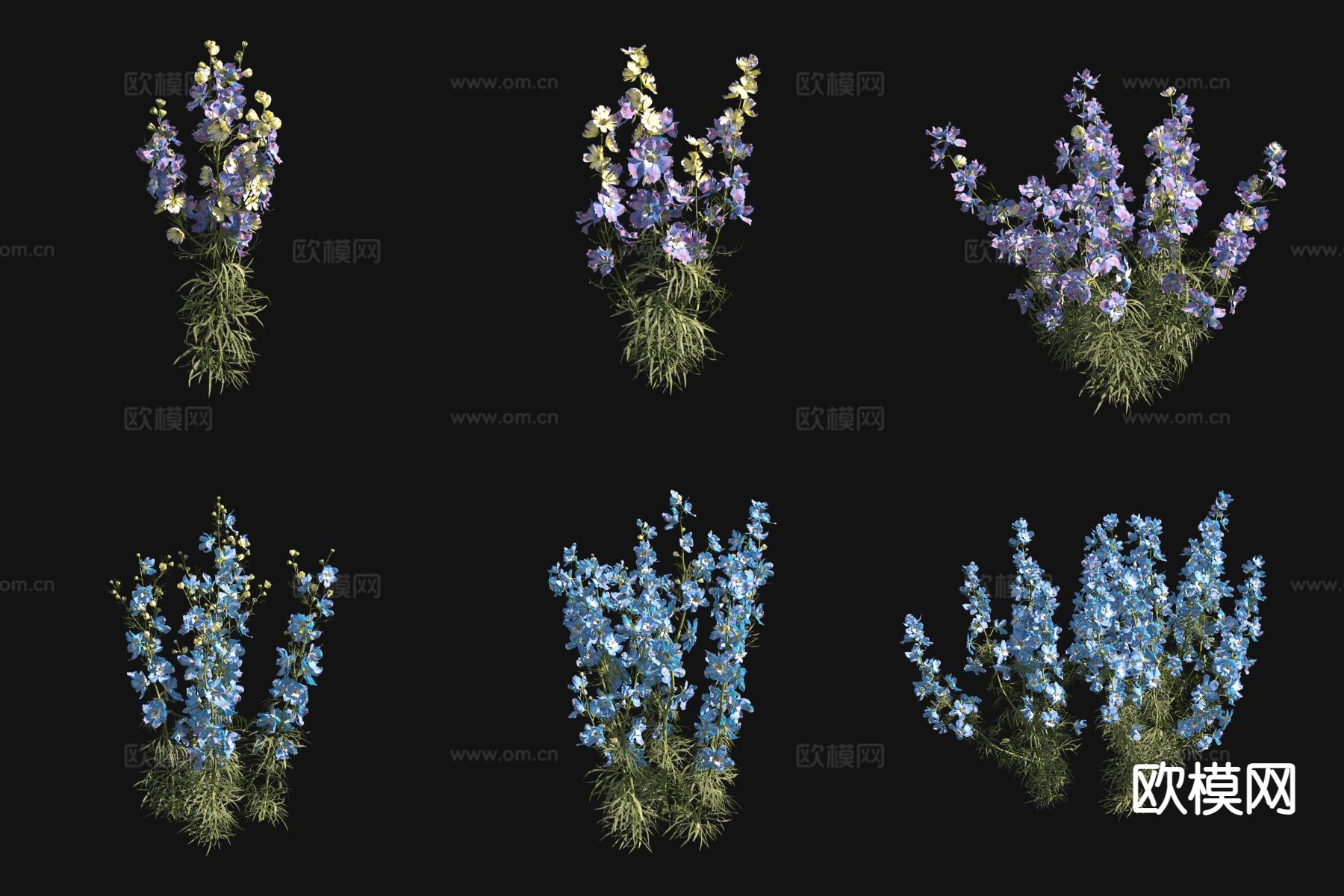 飞燕草 花草3d模型