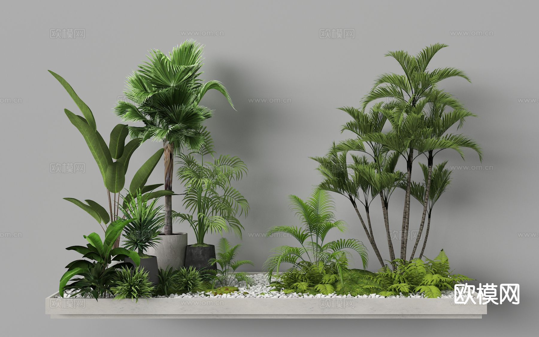 植物造景 蕨类植物 植物堆 微地形 热带植物3d模型