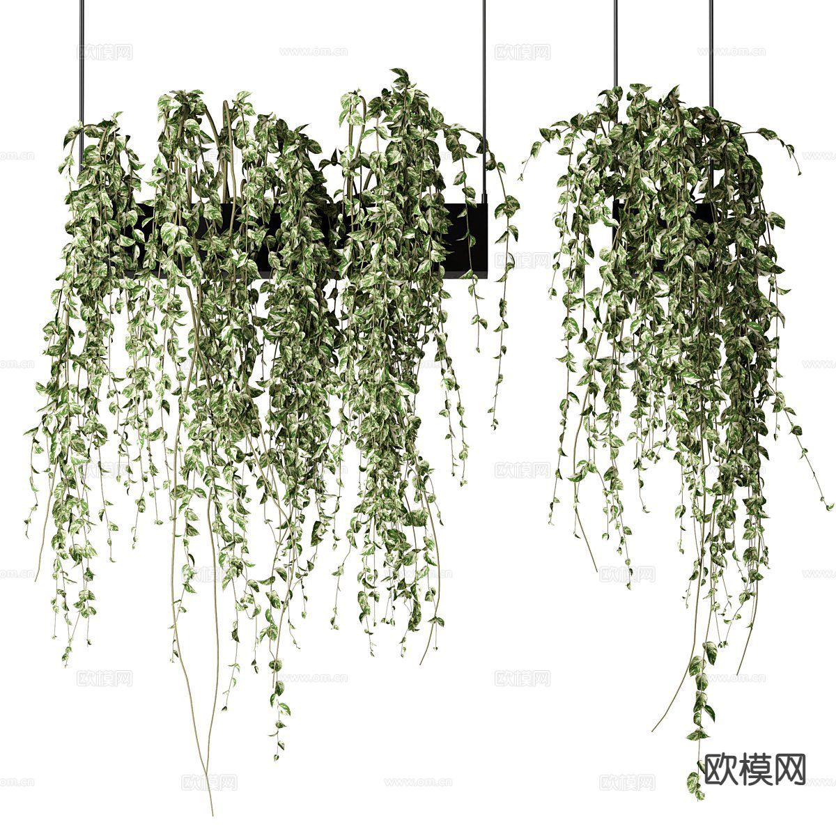 吊篮 吊挂植物3d模型