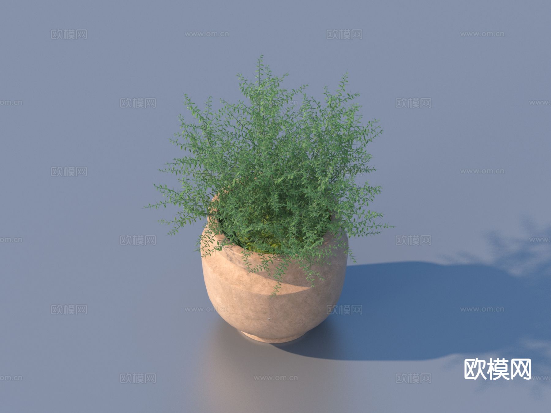 花盆 盆景 绿植 植物3d模型