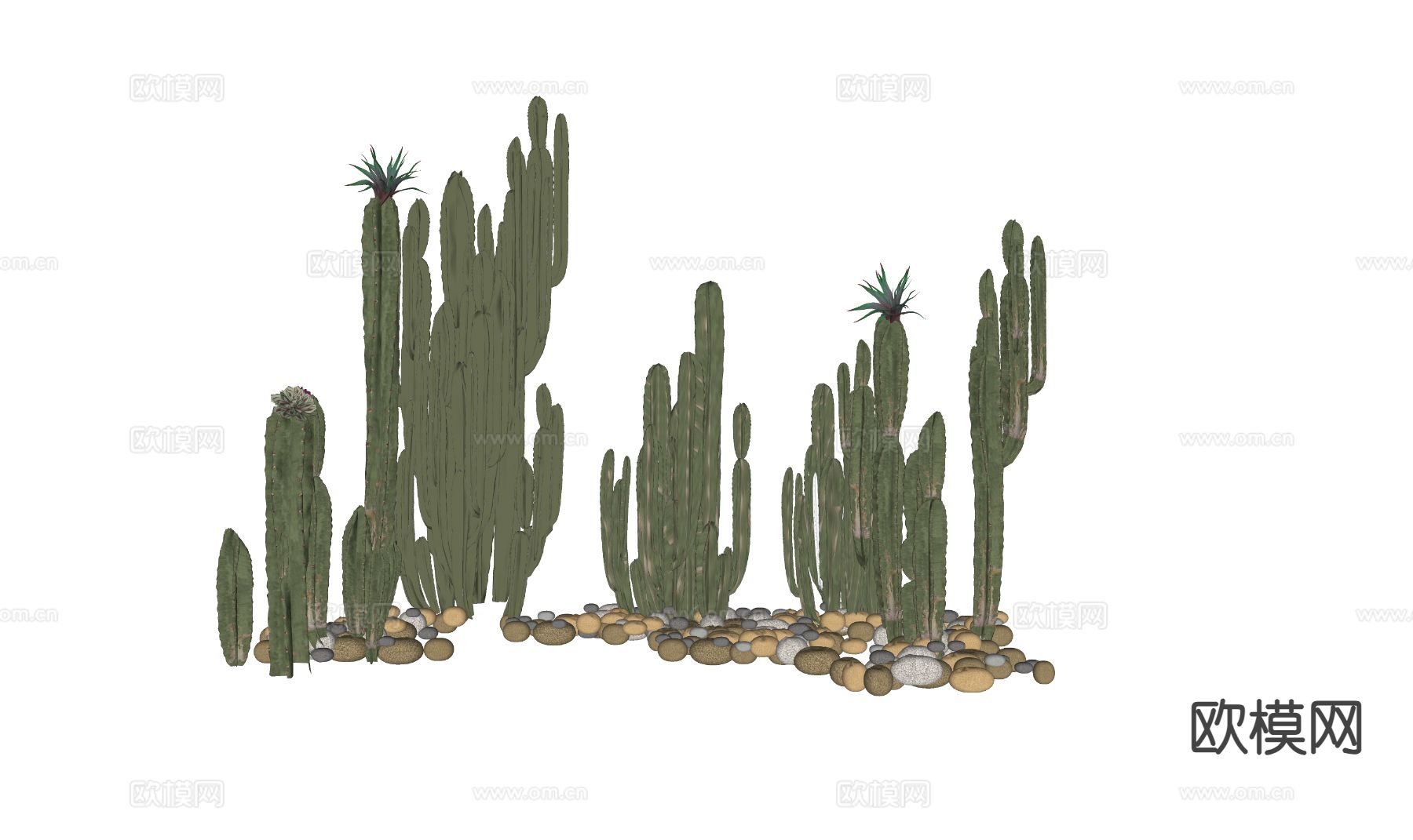 仙人掌su模型下载