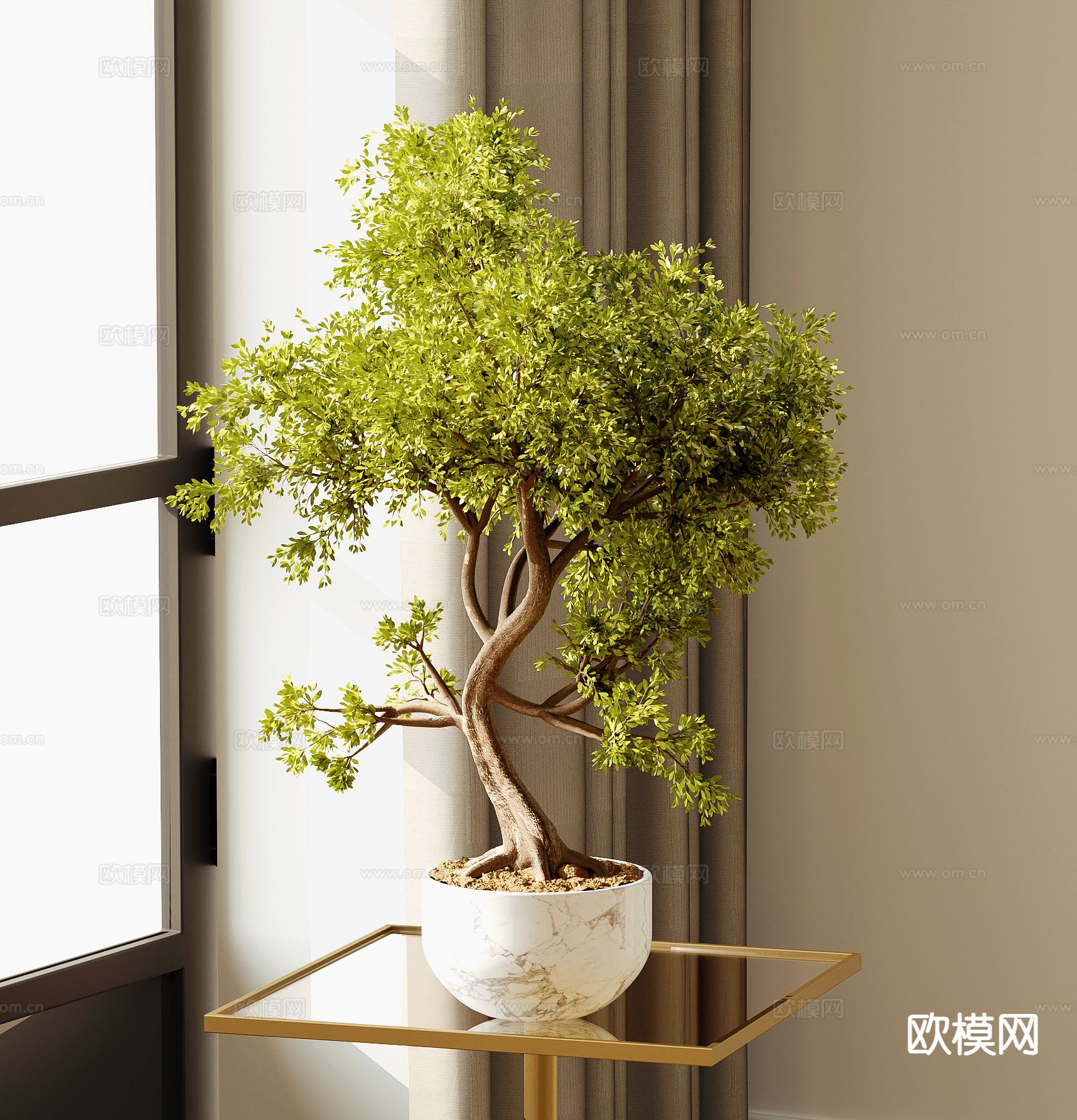 绿植盆栽 松树盆景3d模型