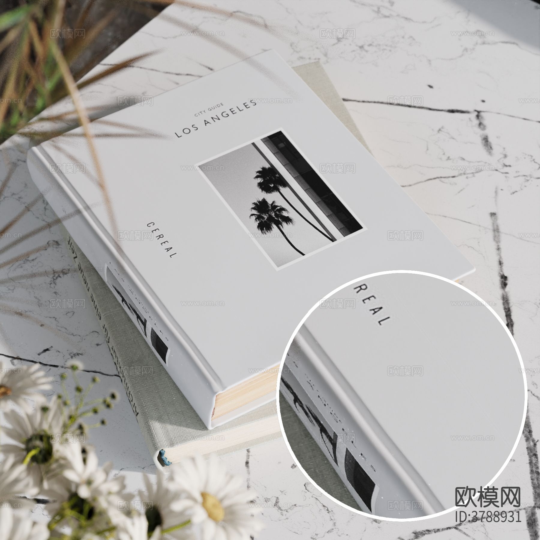 书本 书籍材质下载