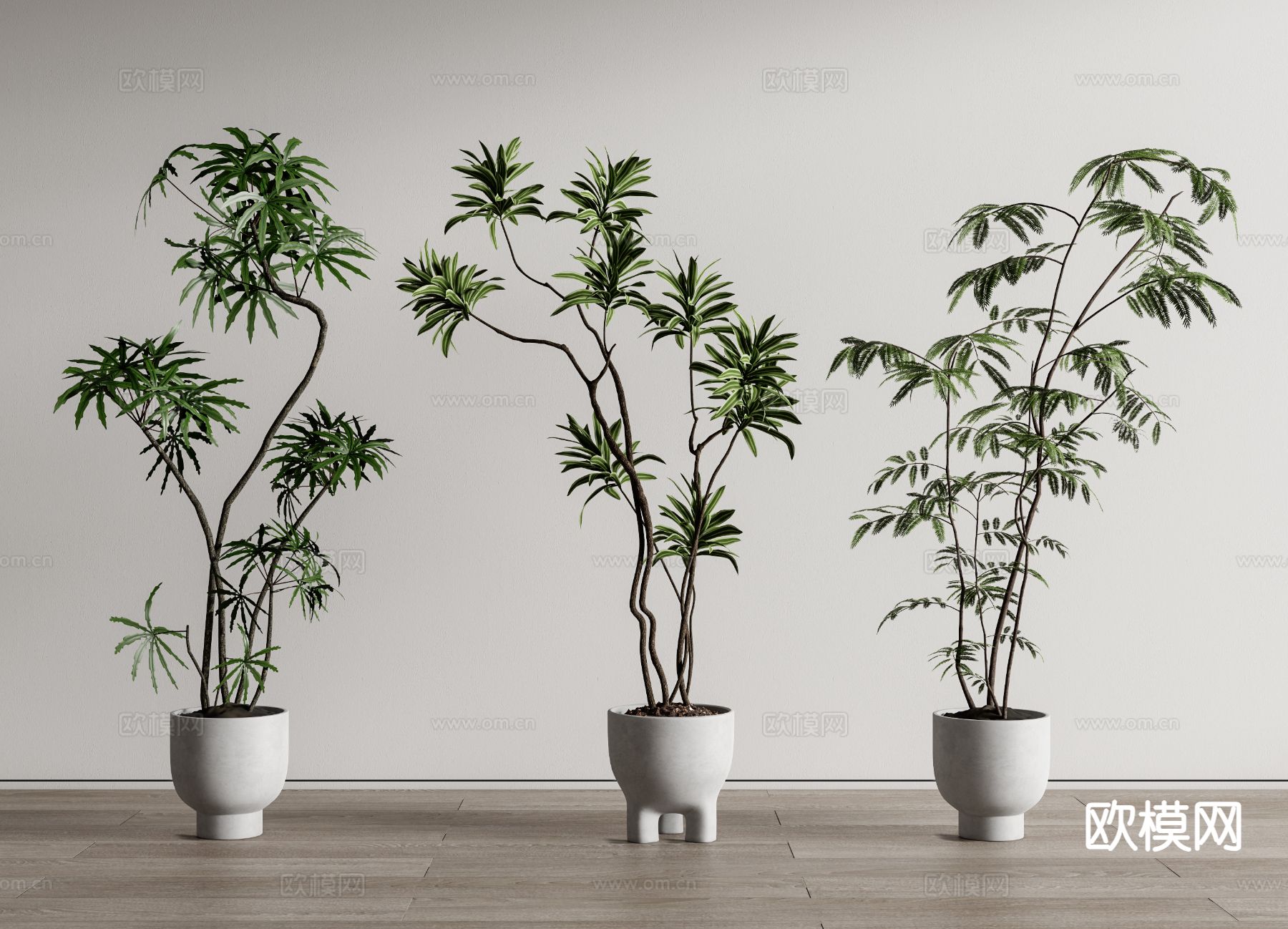 绿植盆栽 植物盆栽 落地植物3d模型