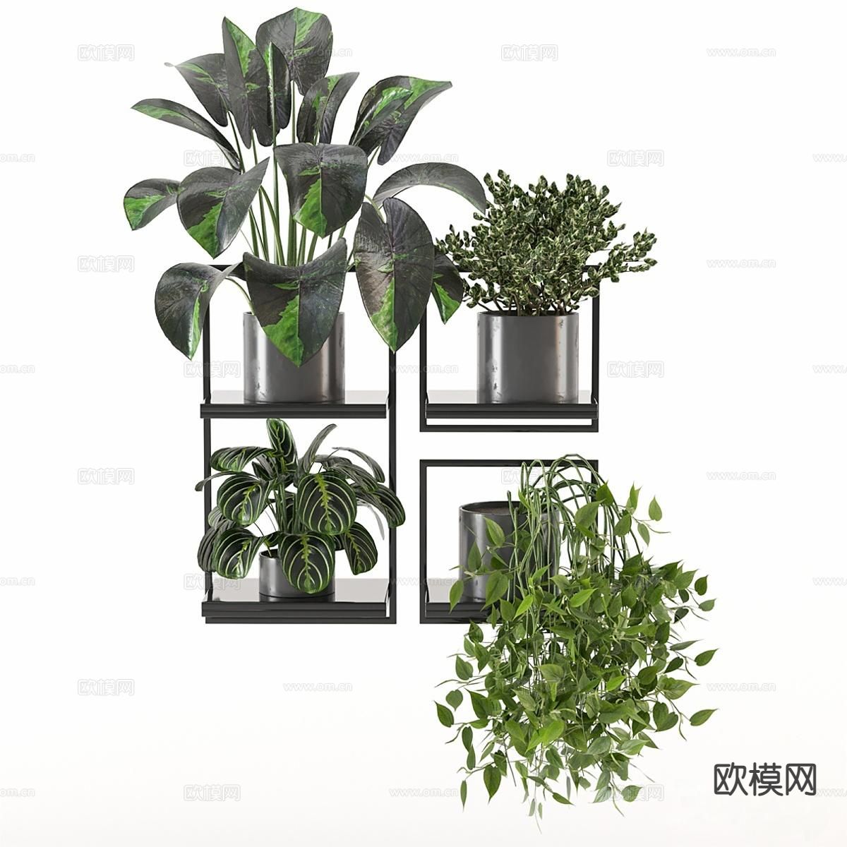 绿植盆栽 吊篮3d模型