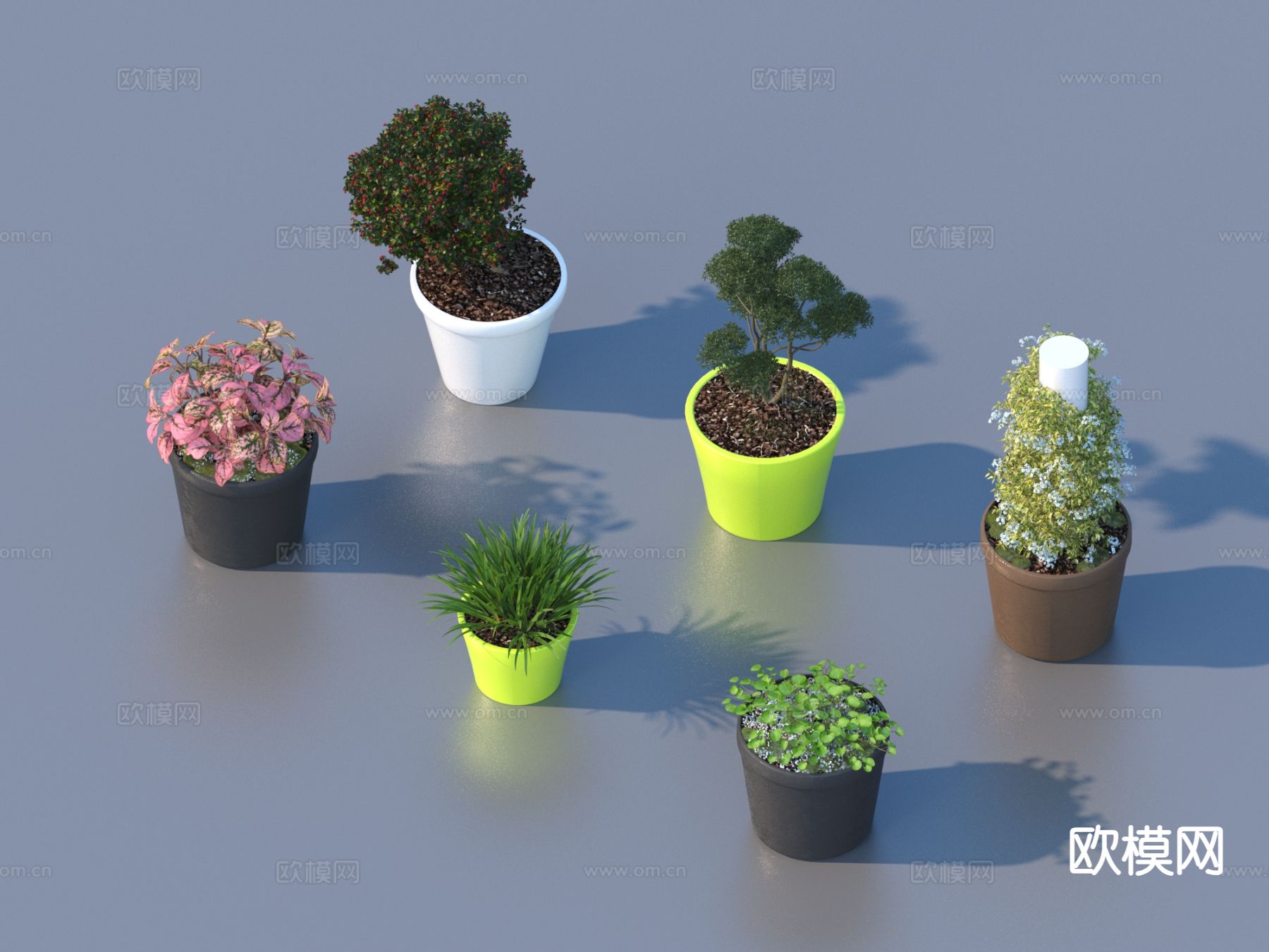 花盆 小盆栽 绿植 植物3d模型