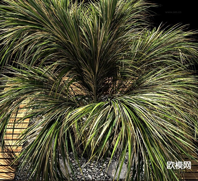 现代棕榈 花坛 植物堆 树池3d模型下载(渲染图2)