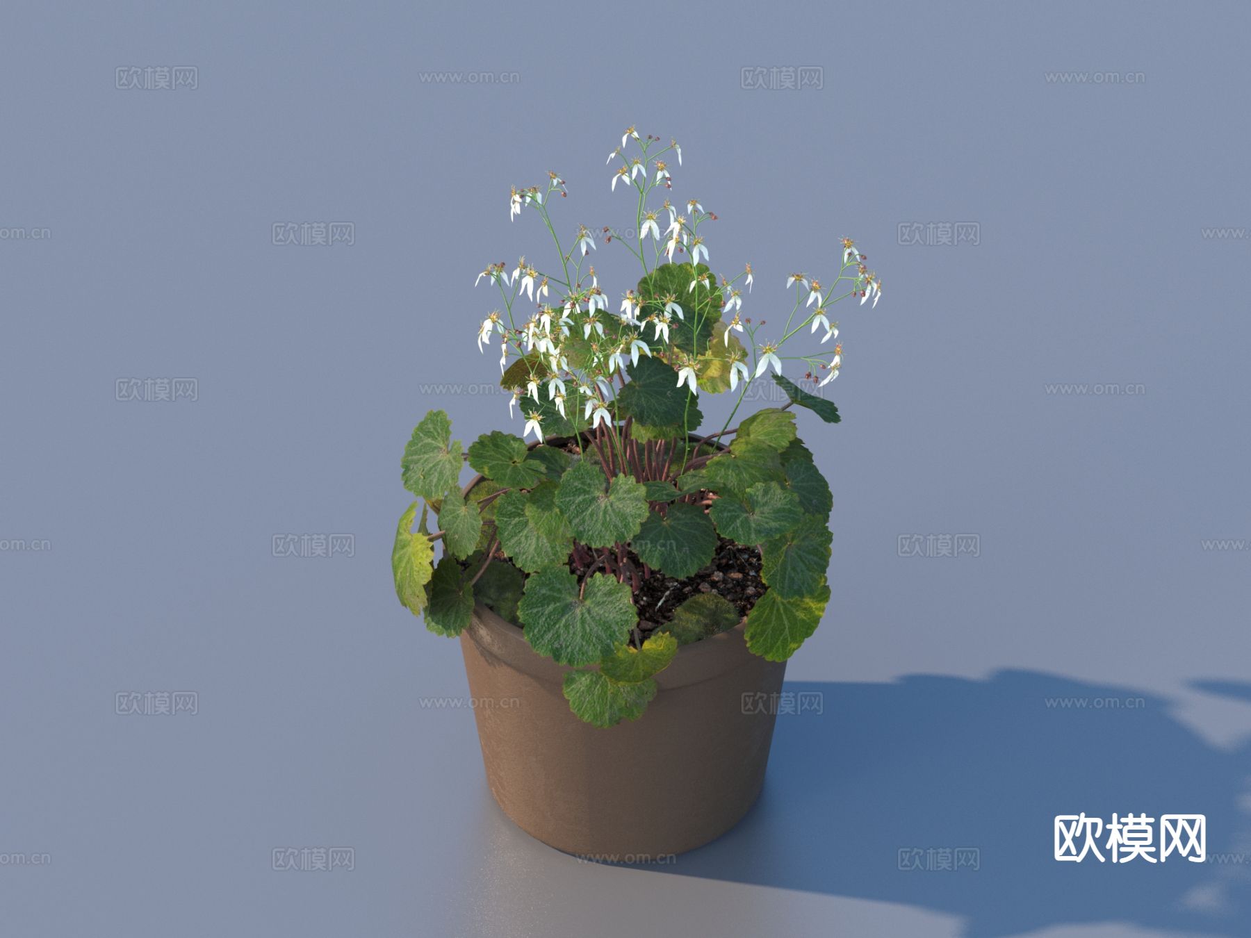 花盆 盆栽 绿植 户外植物3d模型