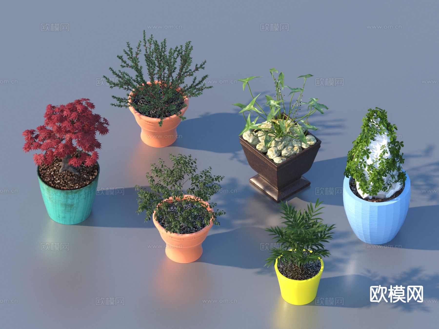 花盆 盆景 绿植 植物3d模型