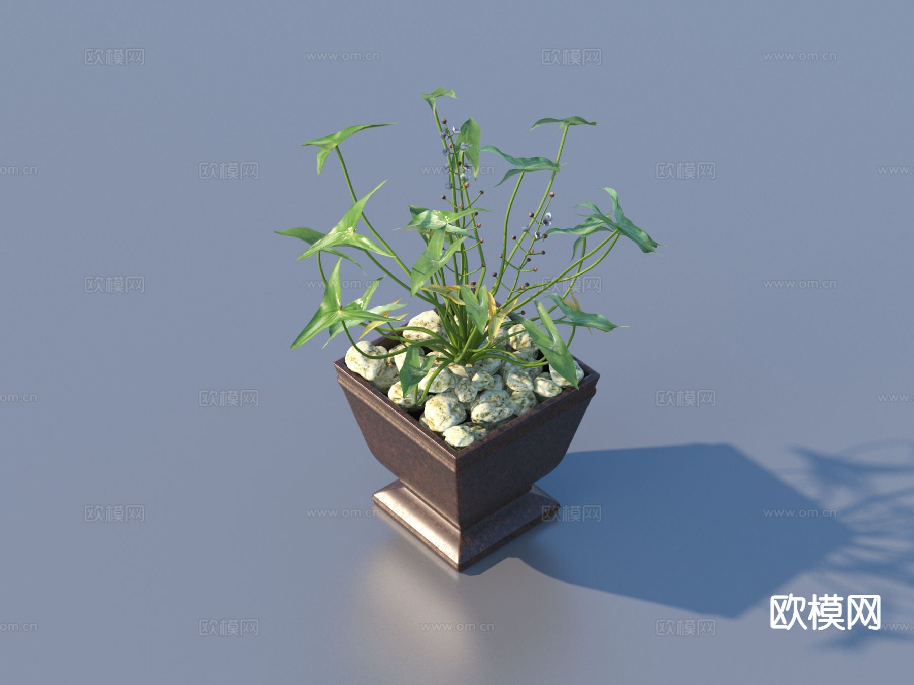 花盆 盆景 绿植 植物3d模型