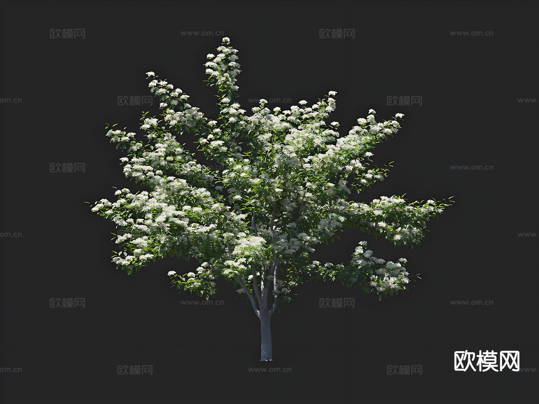 开花树 景观树 孤植树 行道树 绿化树3d模型下载