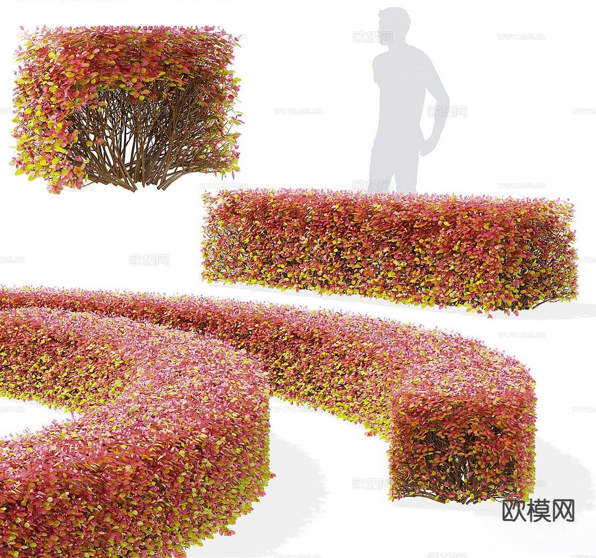 现代灌木丛 造型灌木 绿篱3d模型下载（渲染图1）