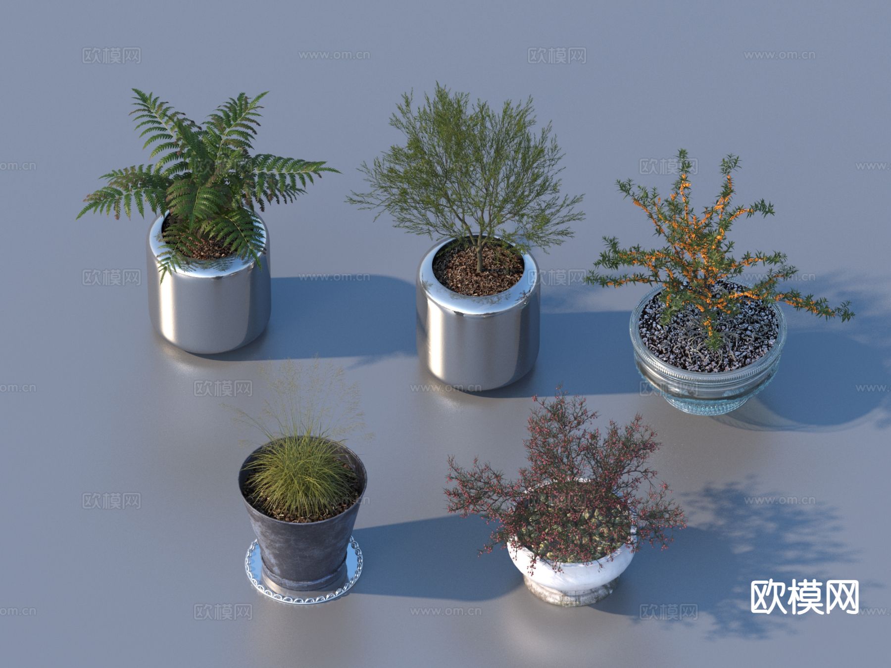 花盆 盆景 绿植 植物3d模型