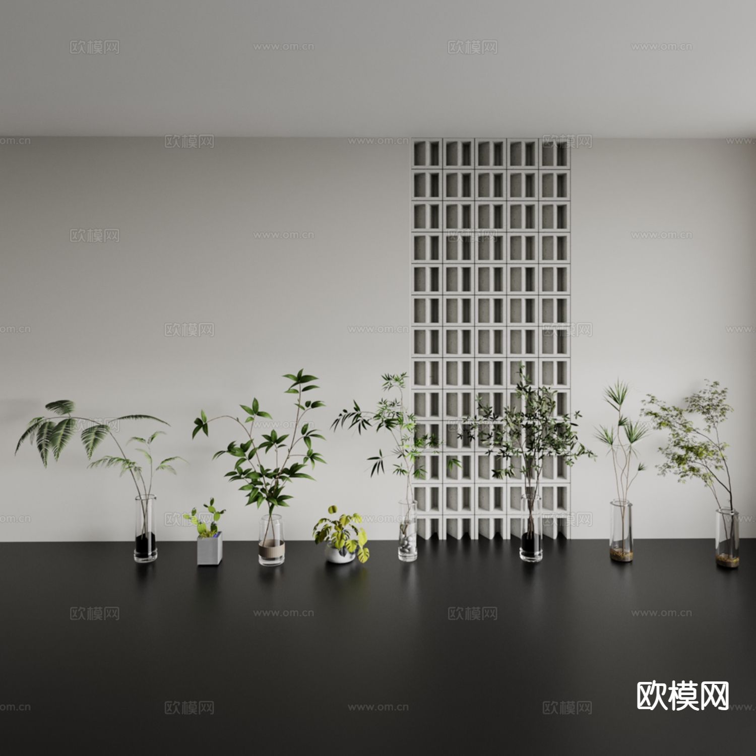 仙人掌 玻璃花瓶 孔雀竹芋 绿宝 文竹 盆栽免费3d模型