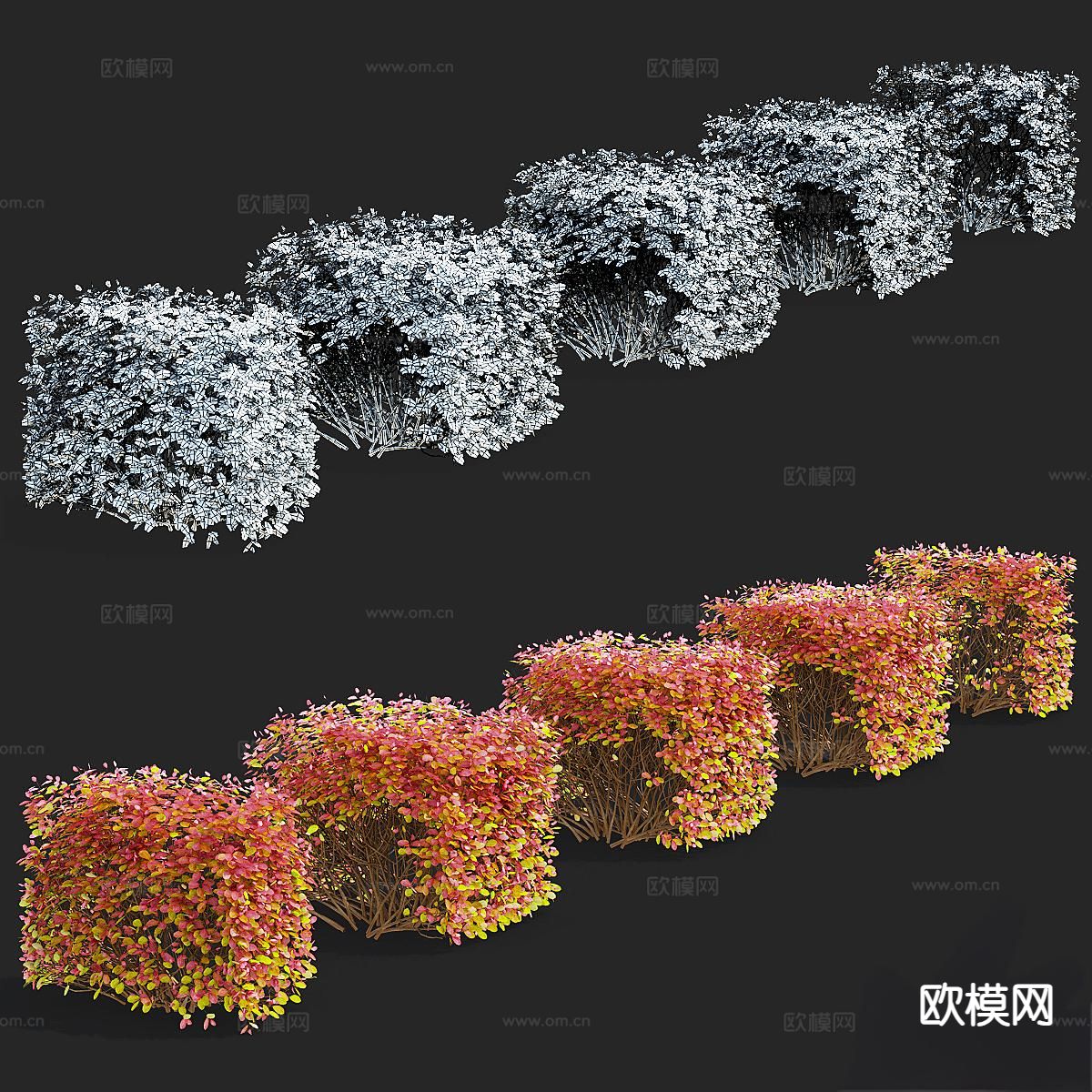现代灌木丛 造型灌木 绿篱3d模型下载（渲染图5）