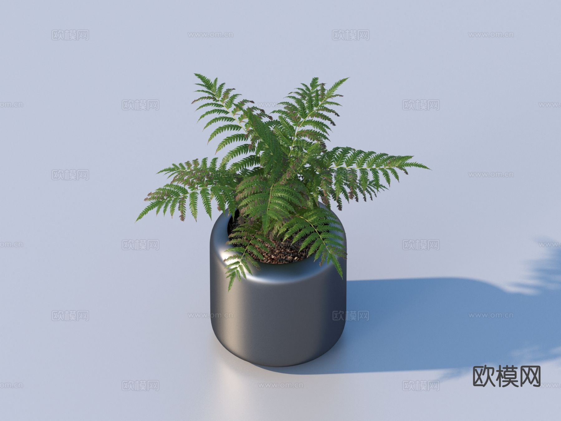 花盆 盆景 绿植 植物3d模型