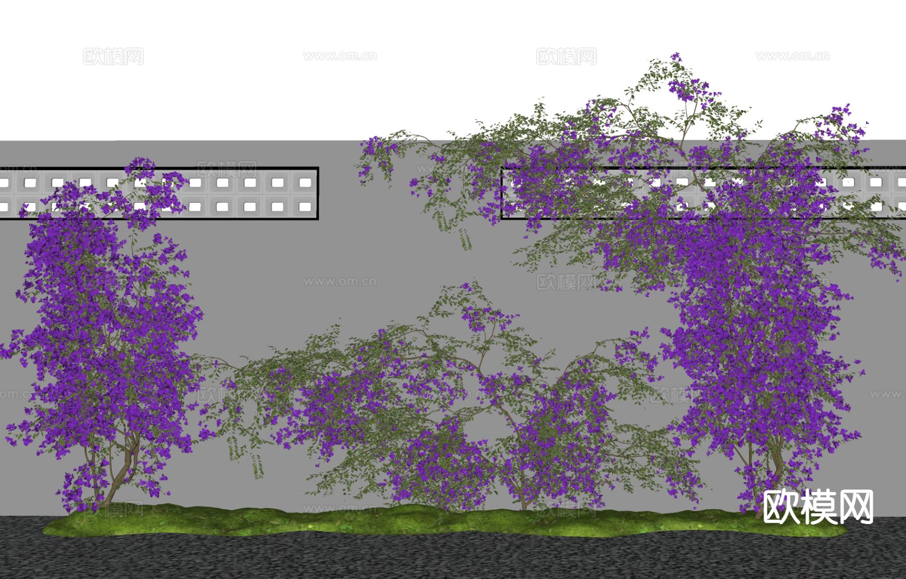 藤蔓 三角梅藤蔓爬墙su模型