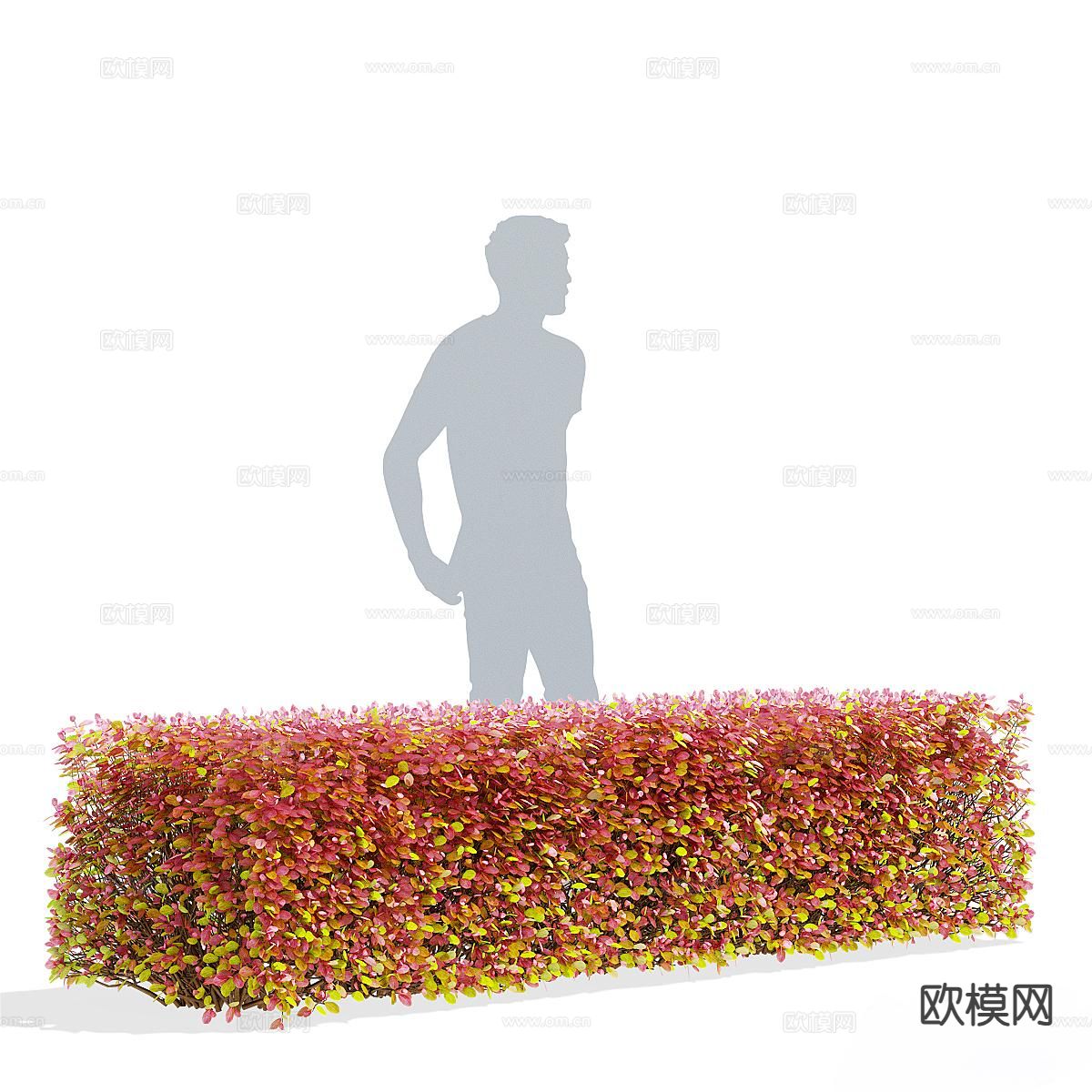 现代灌木丛 造型灌木 绿篱3d模型下载（渲染图2）