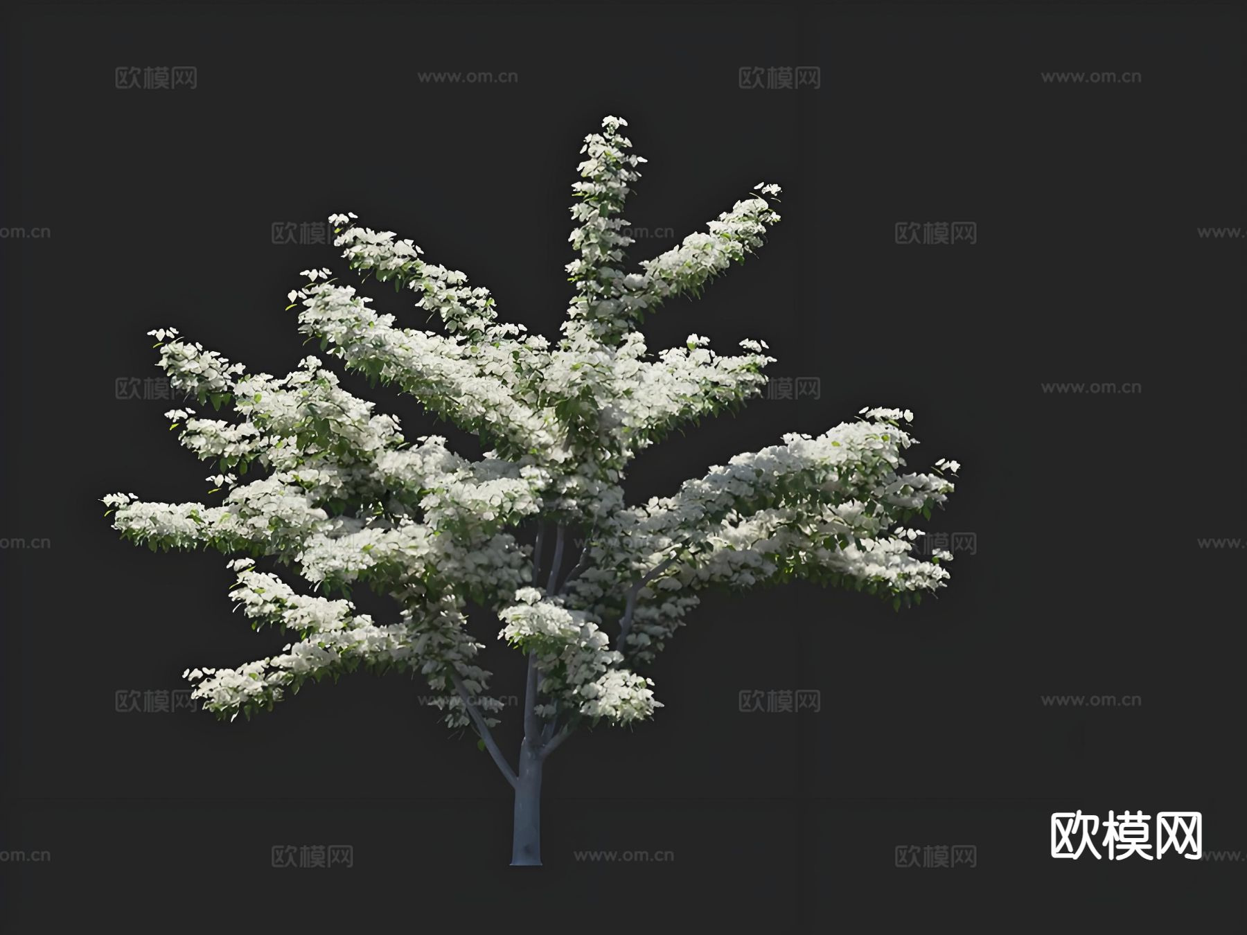 开花树 景观树 孤植树 行道树 绿化树3d模型