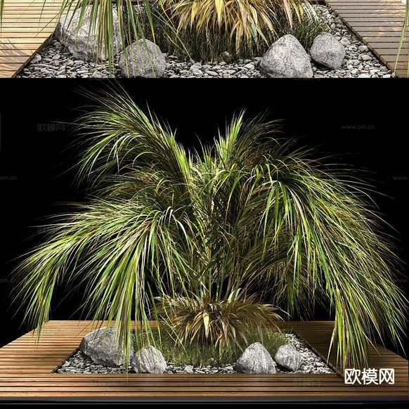 现代棕榈 花坛 植物堆 树池3d模型下载(渲染图1)