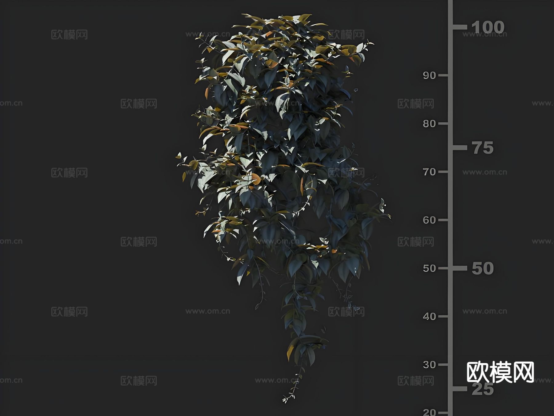 吊篮 吊兰 花卉 吊竹梅3d模型下载