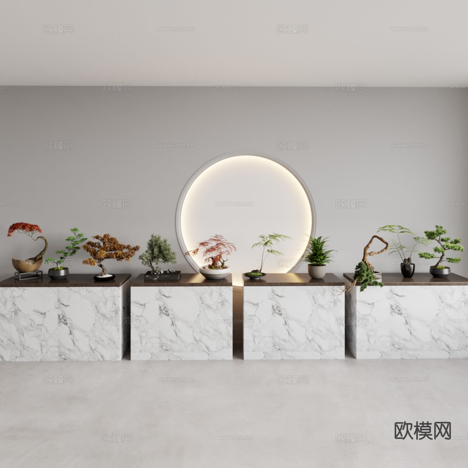 植物盆景 文竹 铁树 松树3d模型