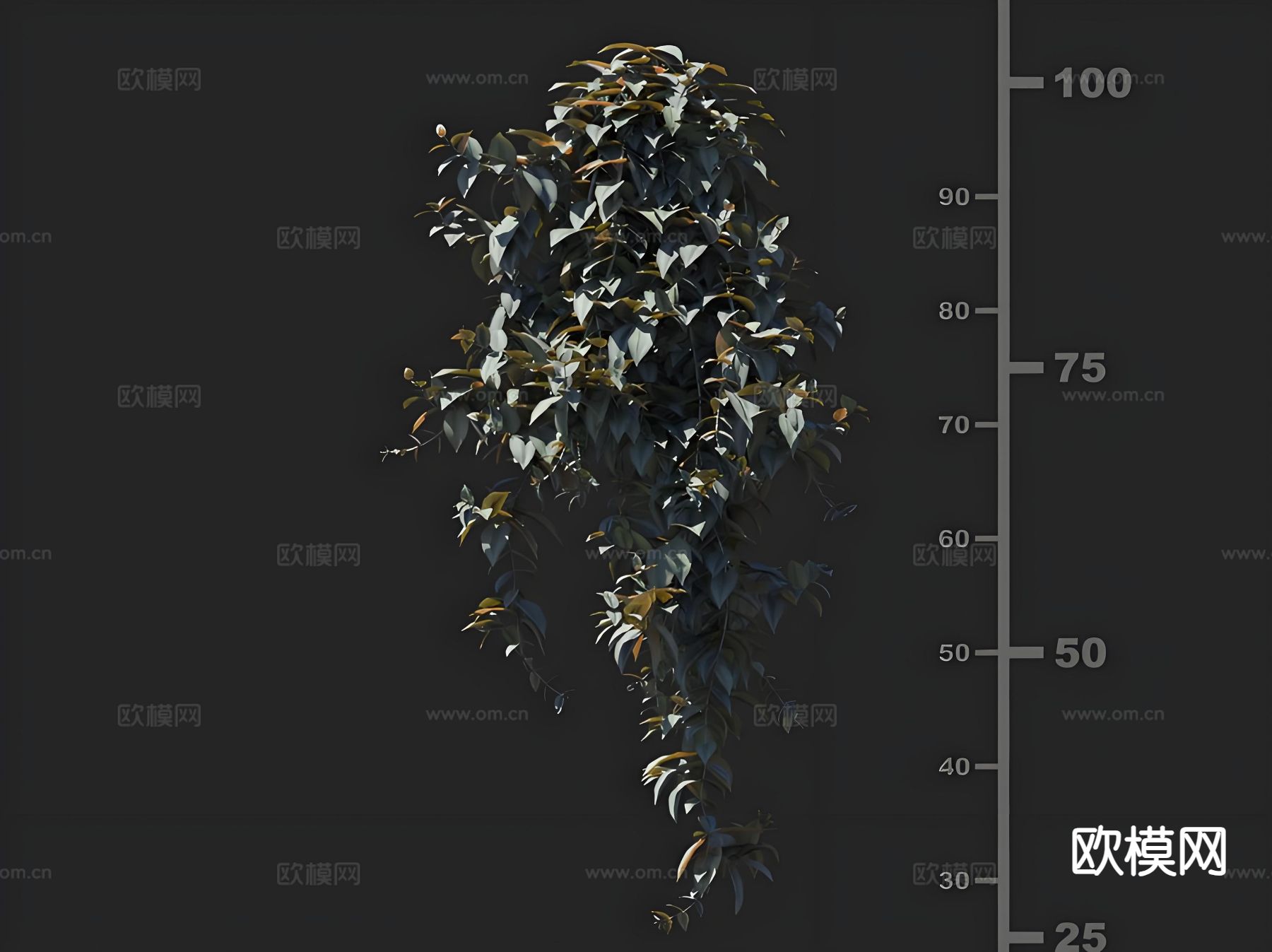 吊篮 吊兰 花卉 吊竹梅3d模型