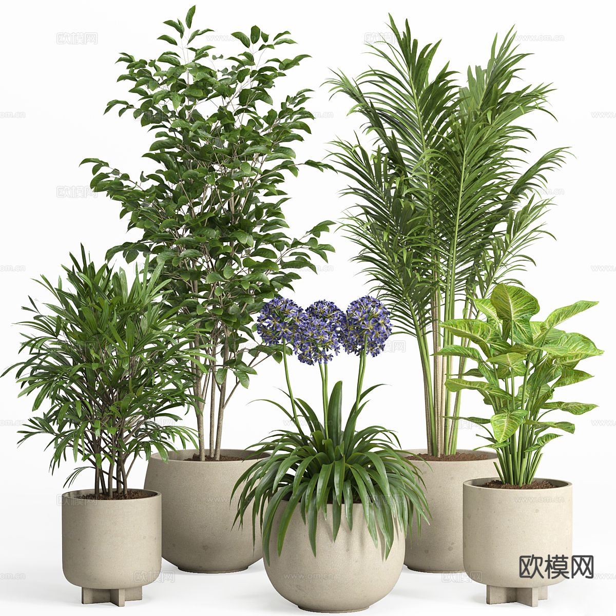 植物盆栽 绿植 花盆3d模型