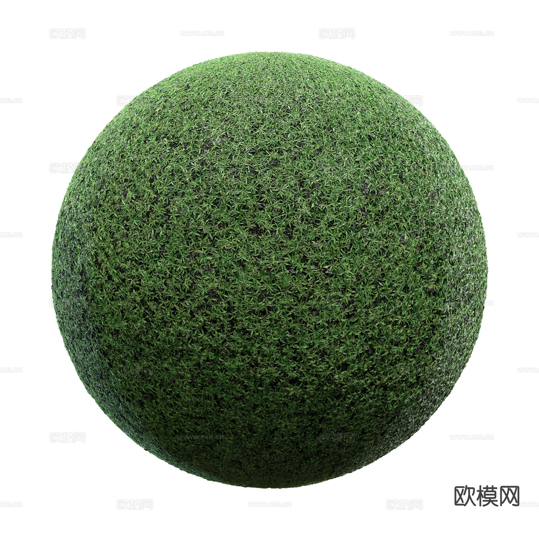 草坪 草地 花草 绿茵3d模型