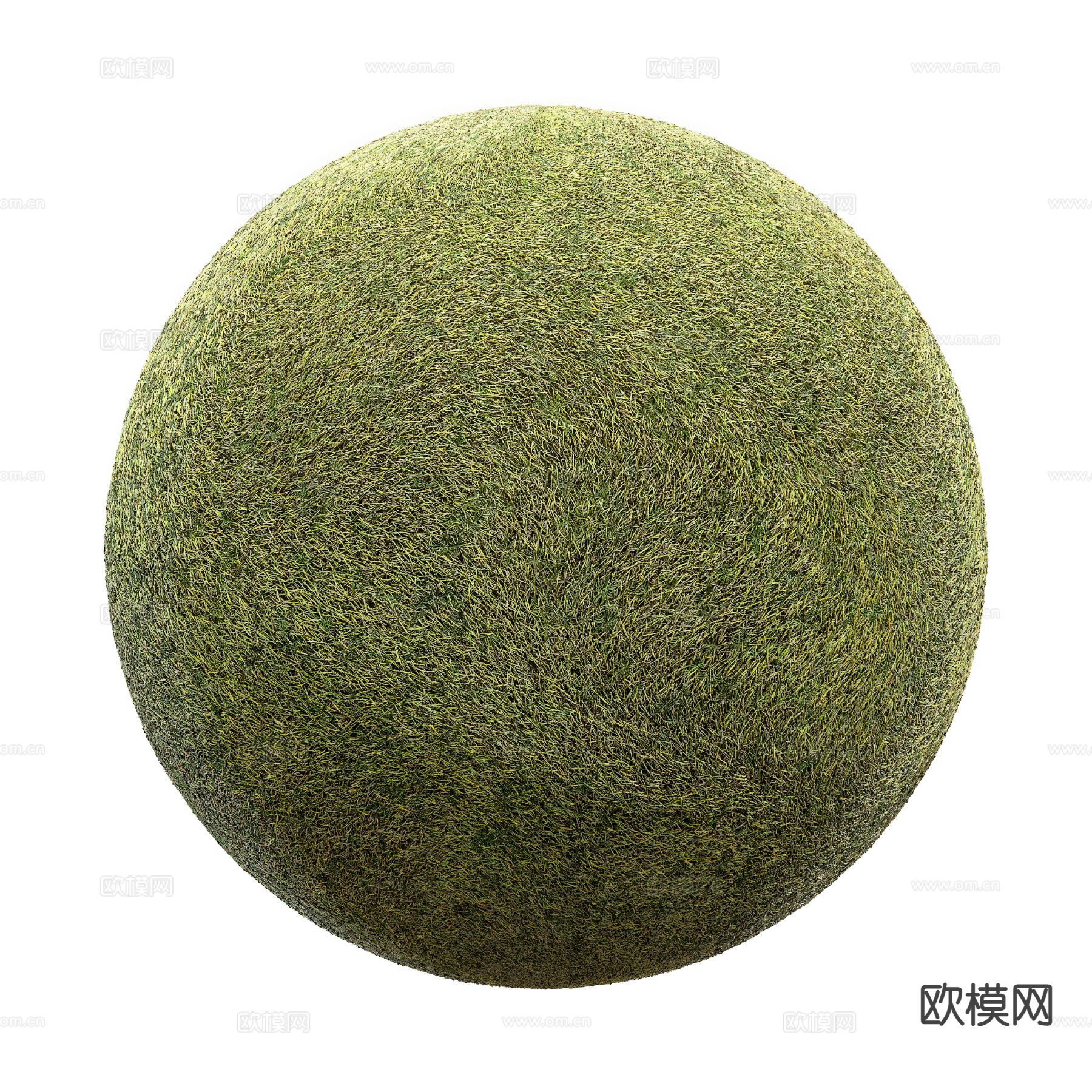 草坪 草地 花草 绿茵3d模型