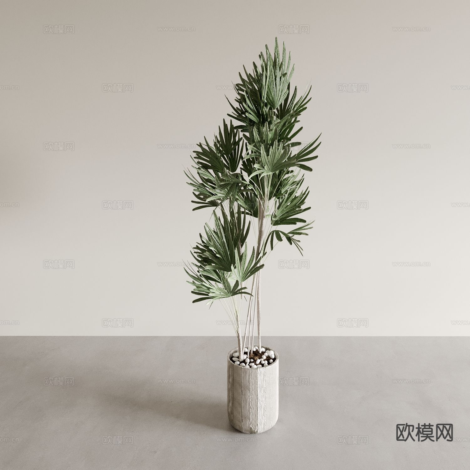 植物盆栽 绿植 花盆3d模型