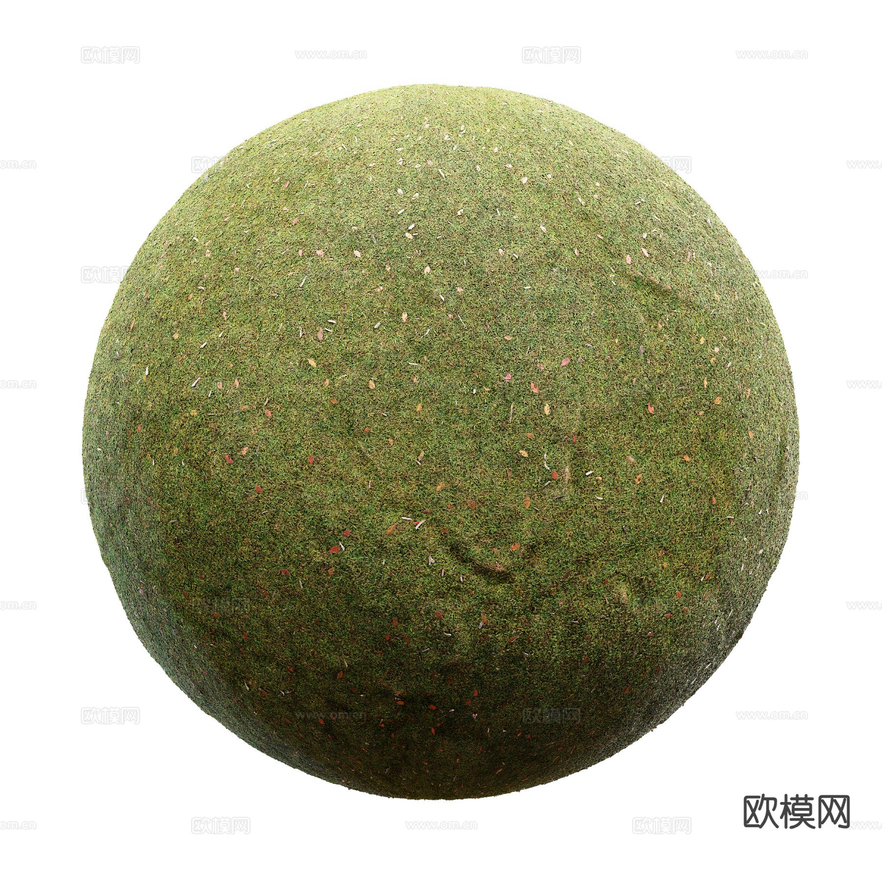 现代草坪 草地 户外草地 花草绿茵3d模型下载（渲染图2）