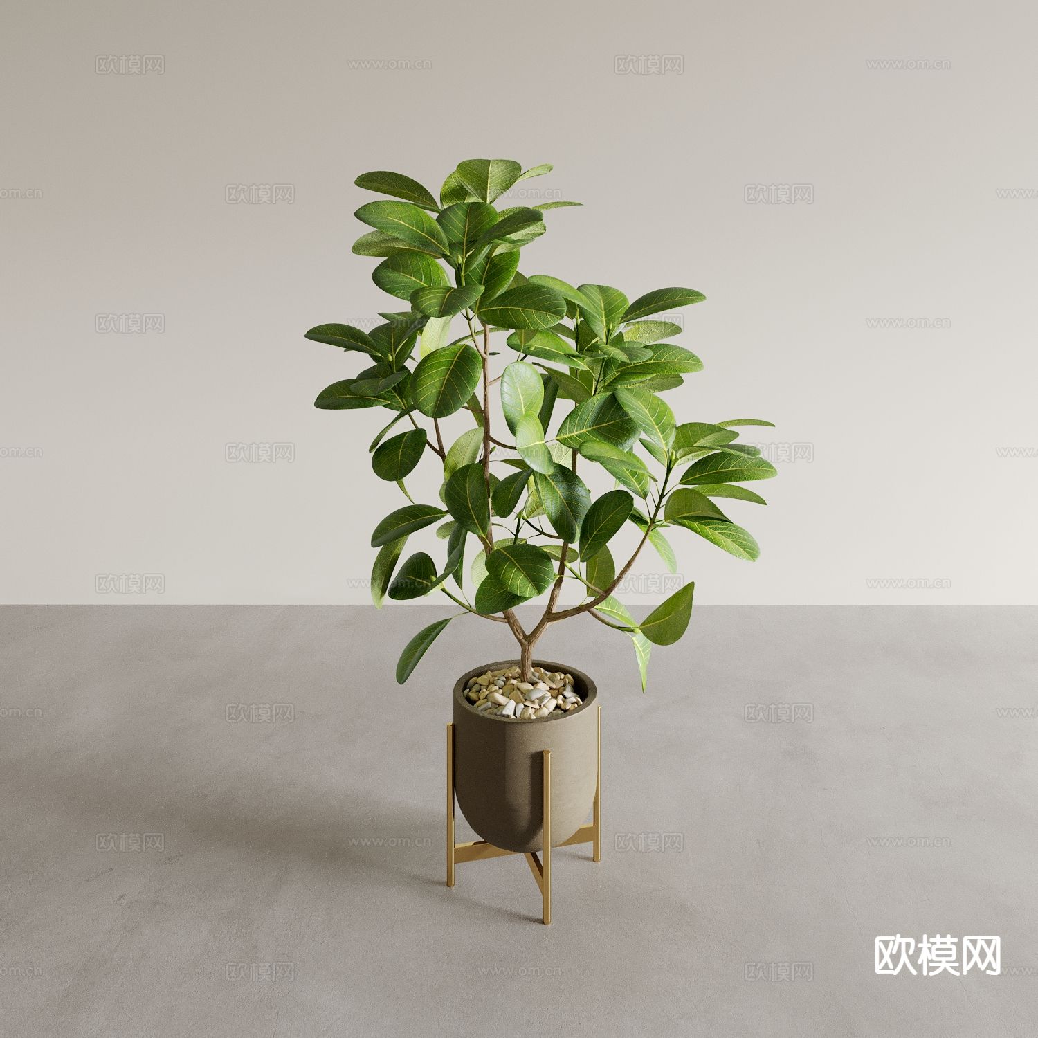 植物盆栽 绿植3d模型