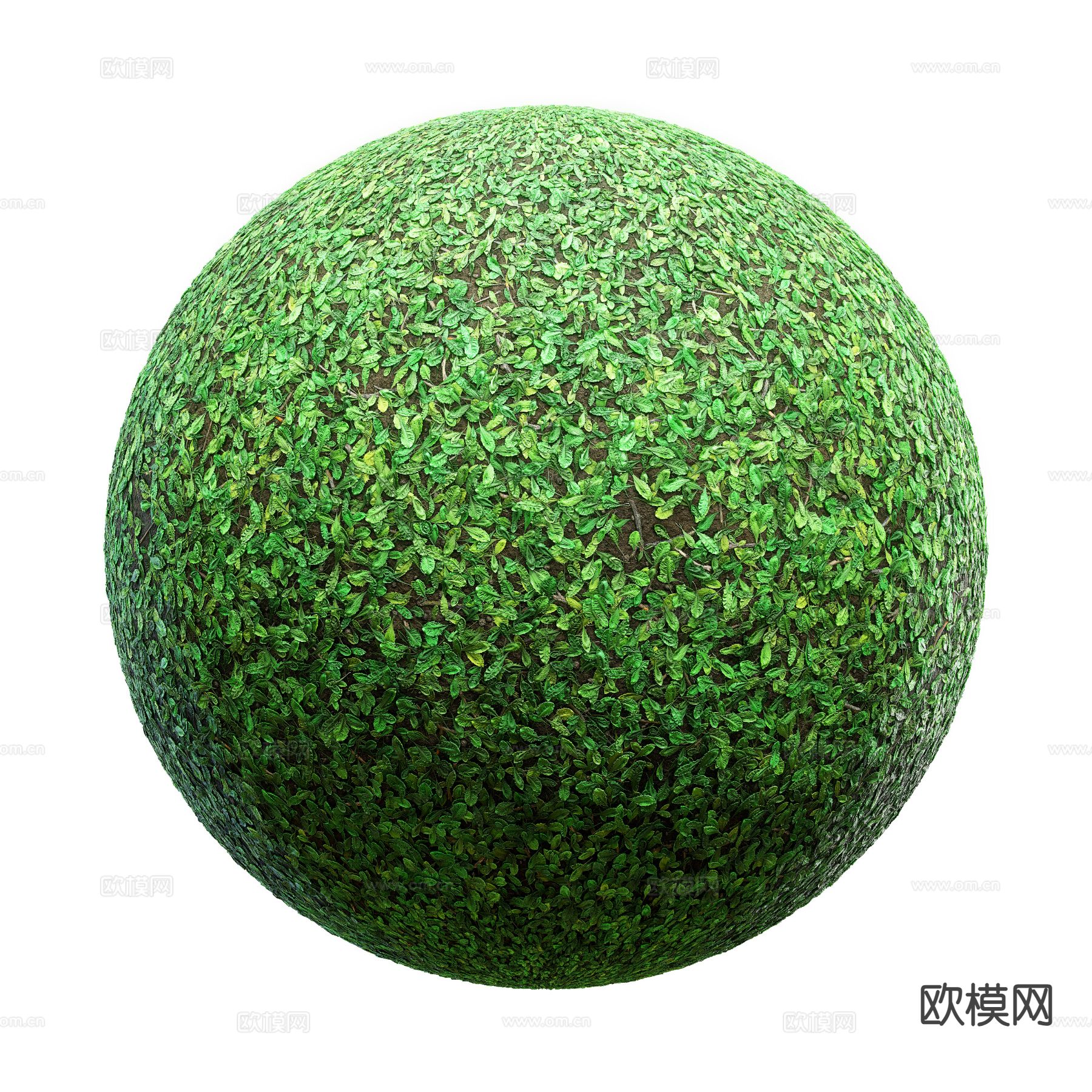 草坪 草地 花草 绿茵3d模型